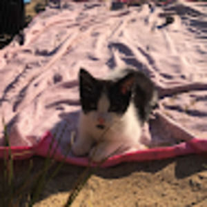 Meet your Posher, Aide